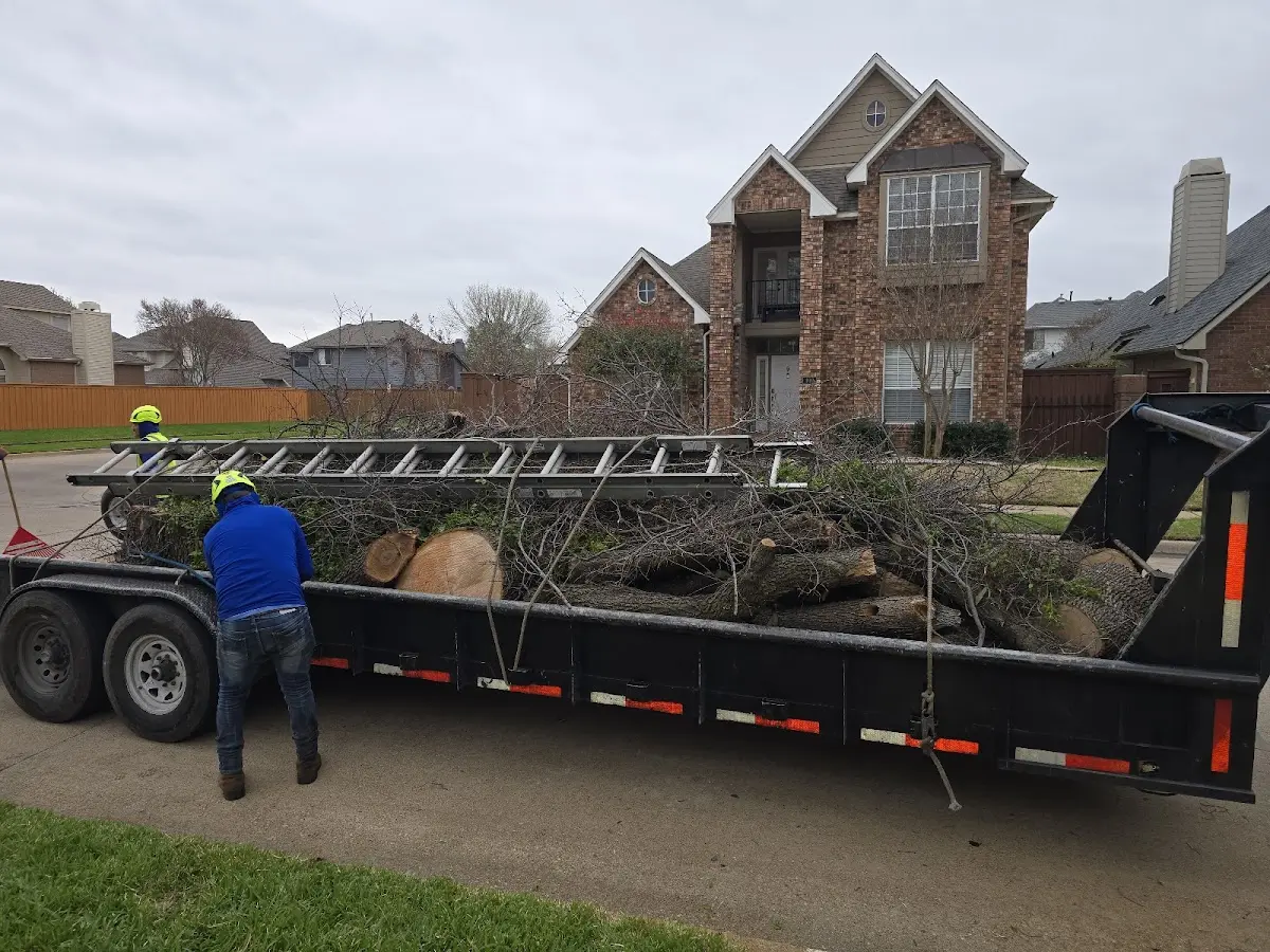 Expert Tree Fertilization with proper safety equipment in South Hero
